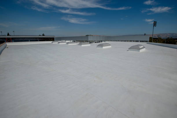 Best Cold Roofs  in Pine Level, NC