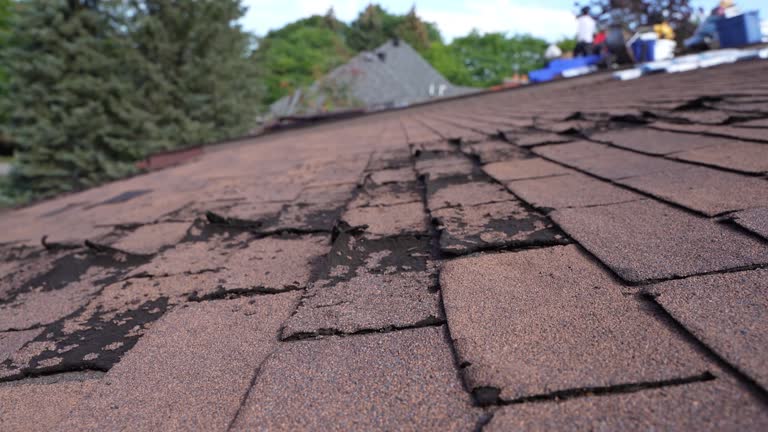 Professional Roofing Service in Pine Level, NC