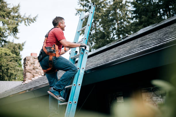 Best Roof Coating and Sealing  in Pine Level, NC