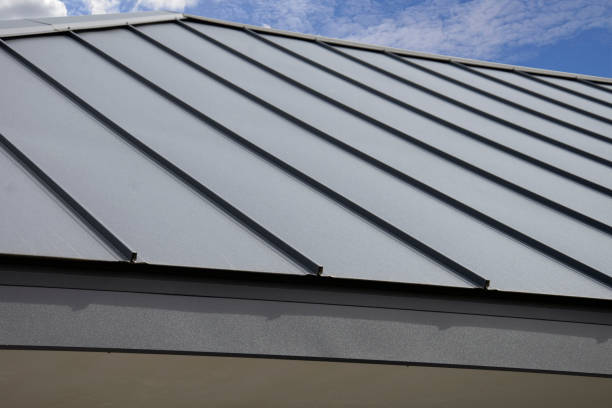 Best Solar Panel Roofing Installation  in Pine Level, NC