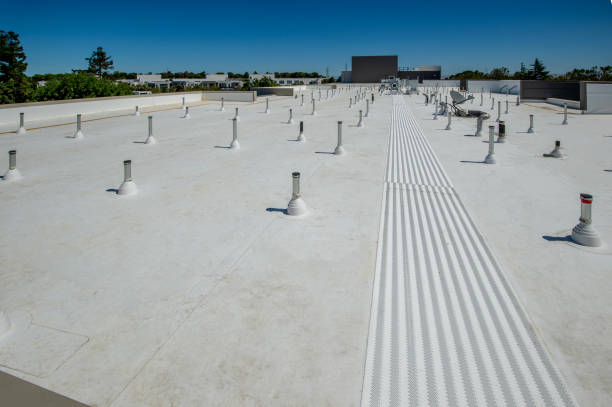  Pine Level, NC Roofing Service Pros